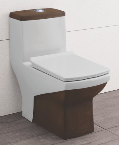 Designer One Piece WC