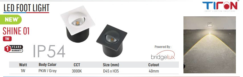 Image of LED Shine 01 Foot Light