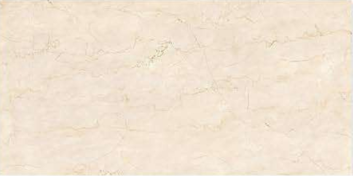 Image of Botto Birch