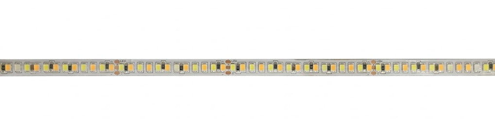 Image of Enso 24V 192 LED CCT Strip Light