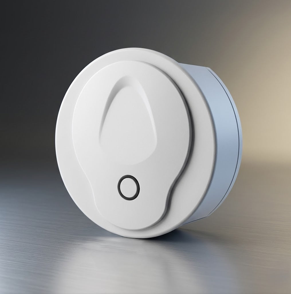 The 21st Century Lifestyle ®