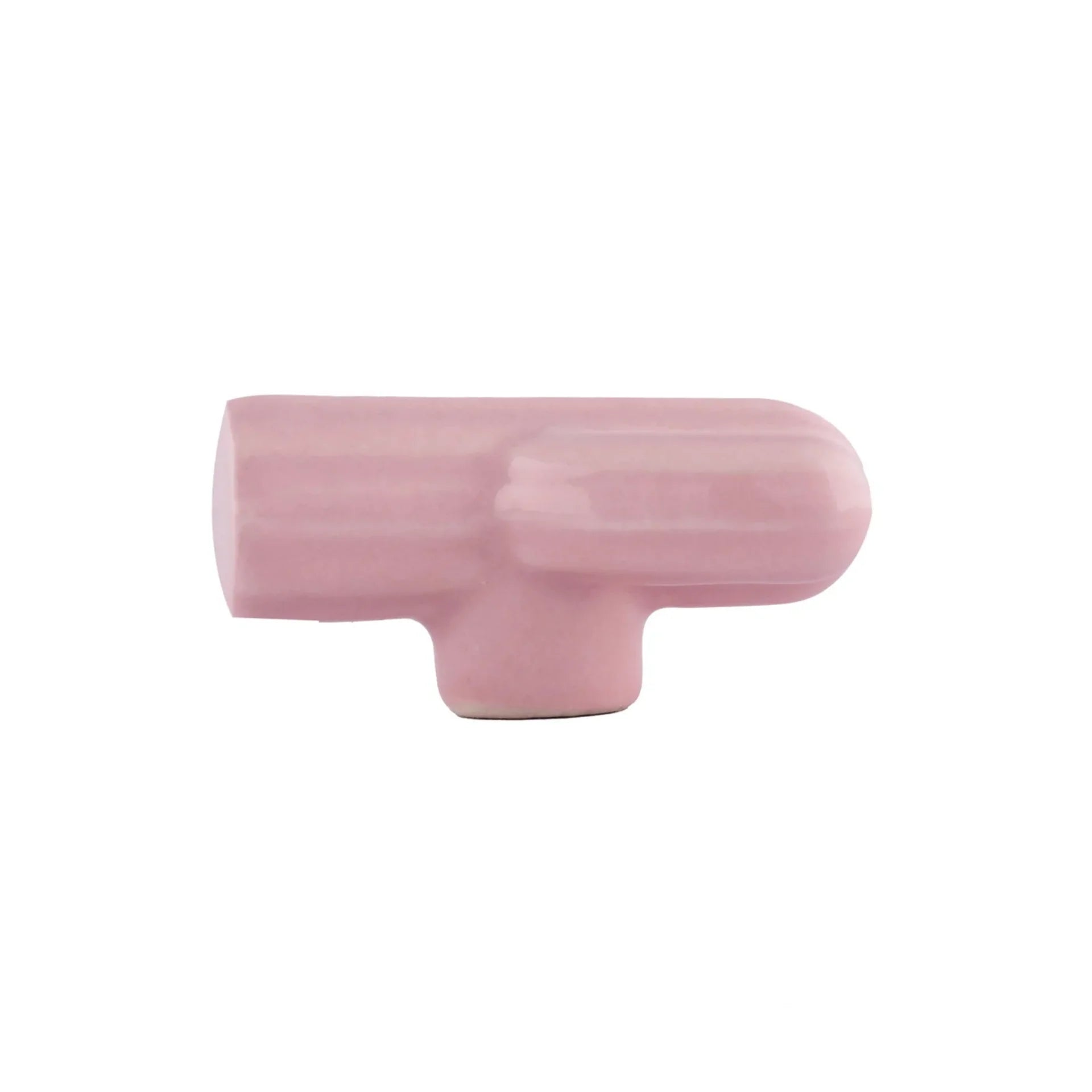 Image of Ceramic Cactus Cabinet Knob