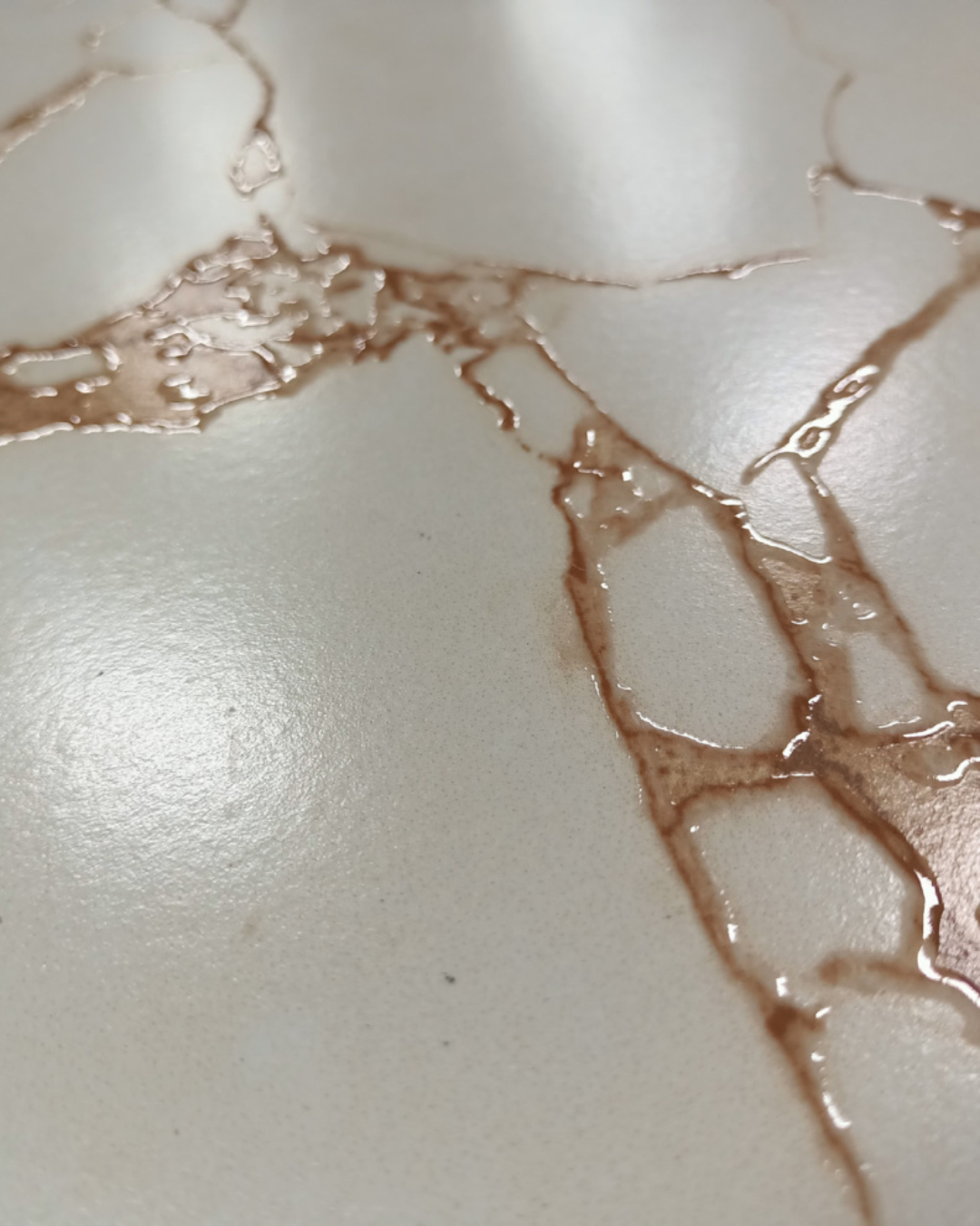 T21 Design Studio®️