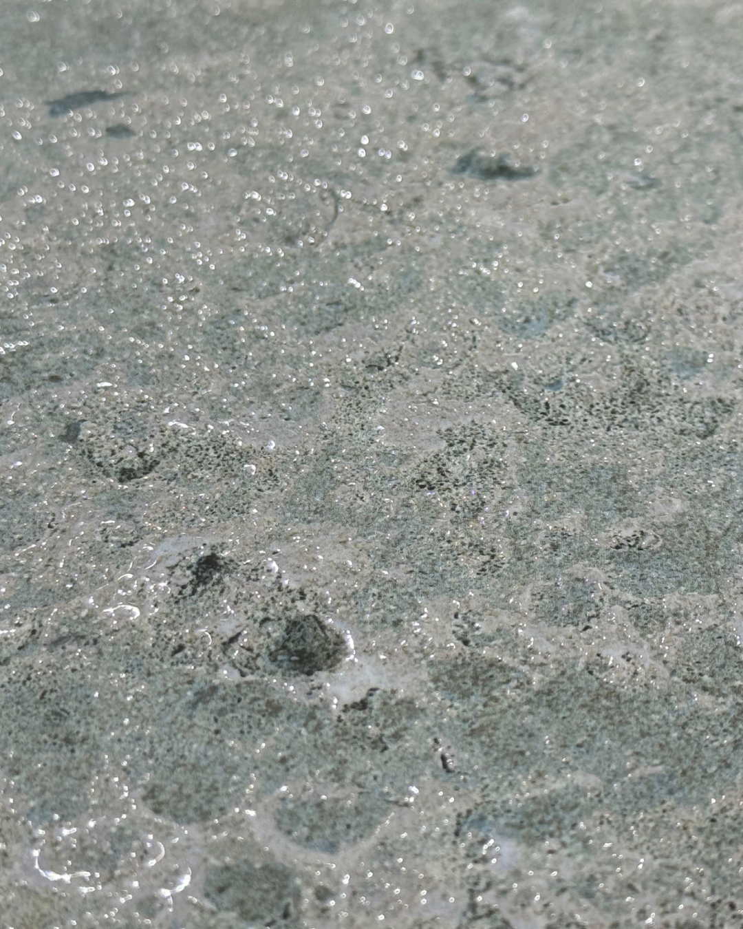 T21 Design Studio®️