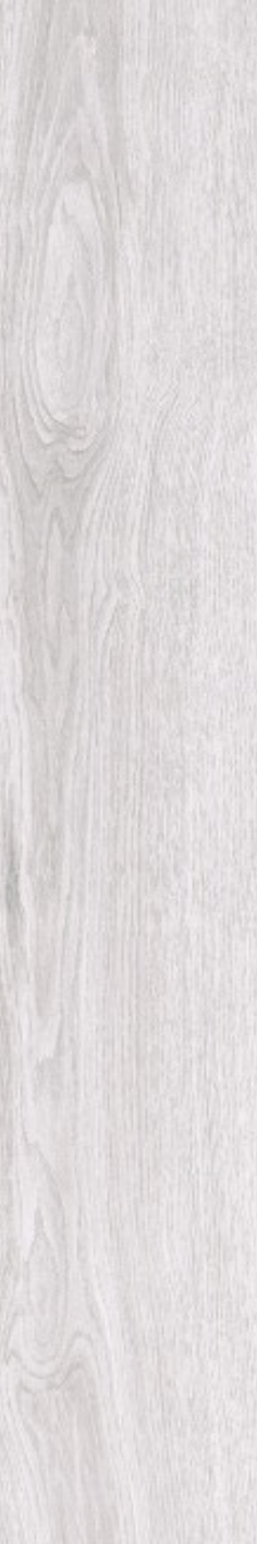 T21 Design Studio®️