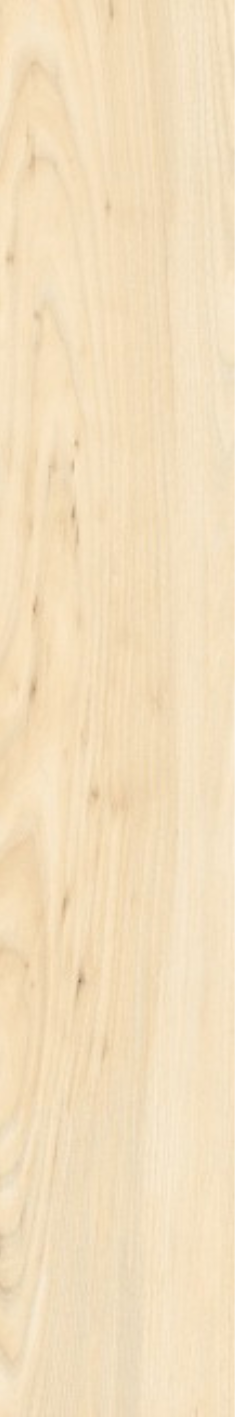 T21 Design Studio®️