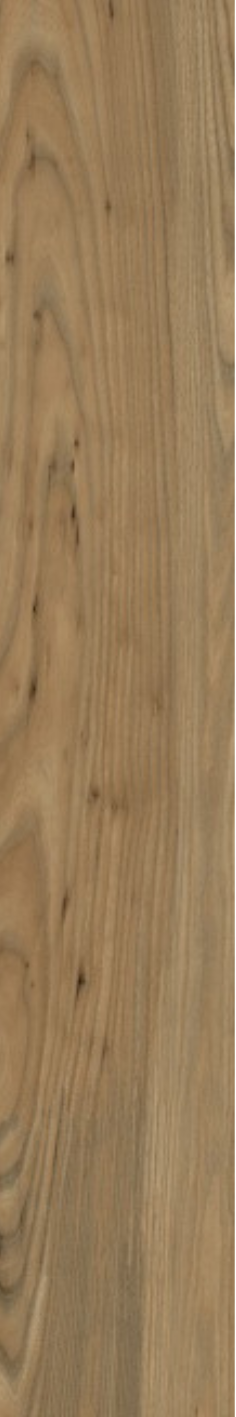 T21 Design Studio®️