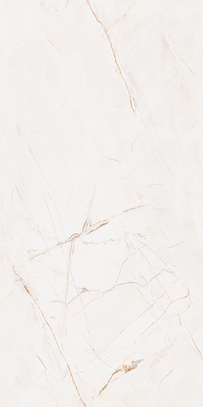 T21 Design Studio®️