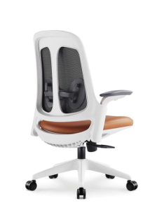 Image of Acosta Executive Office Chair