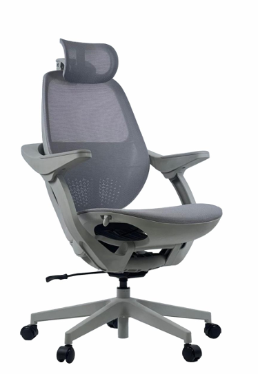 Image of Aero Executive Office Chair