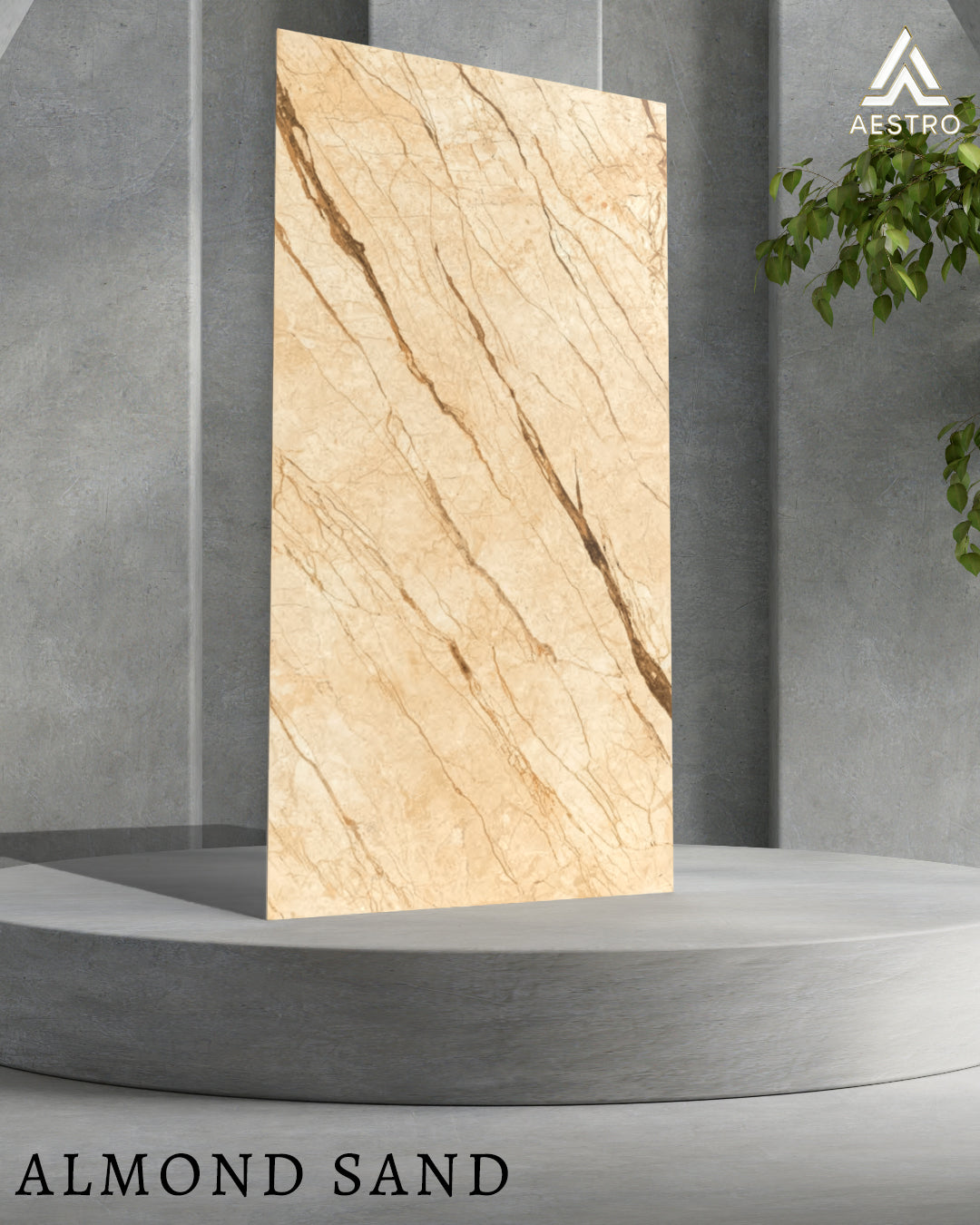 T21 Design Studio®️