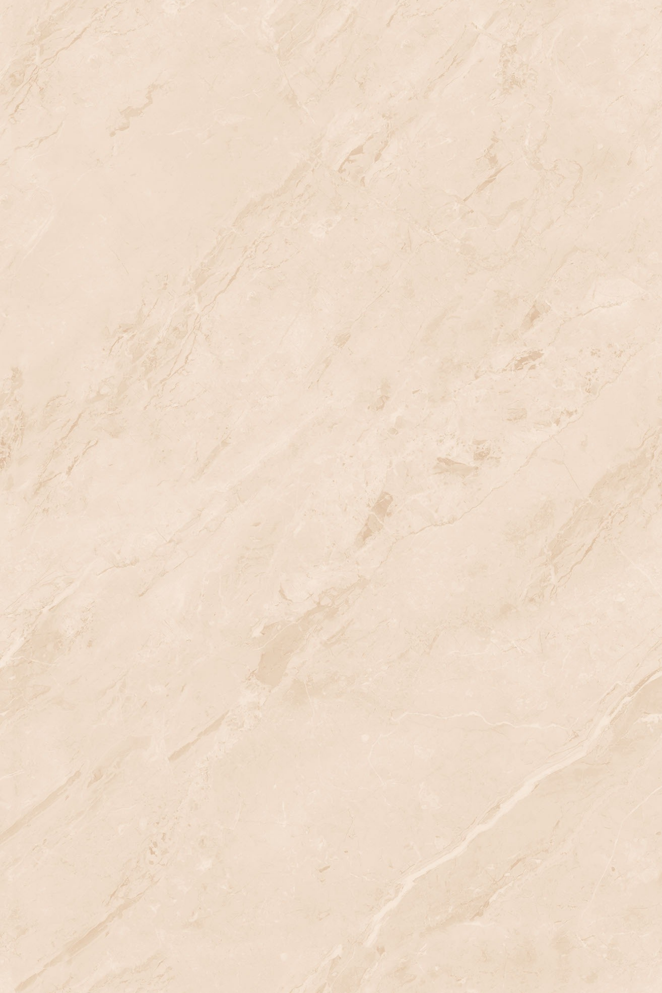 T21 Design Studio®️