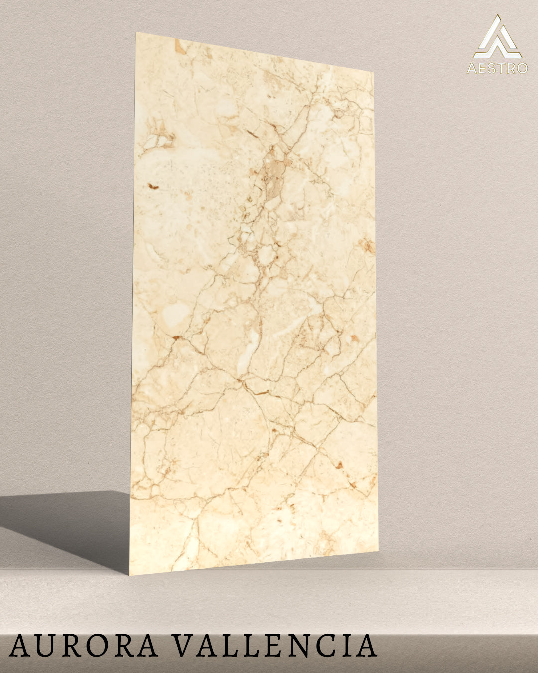 T21 Design Studio®️