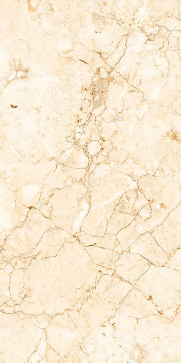 T21 Design Studio®️