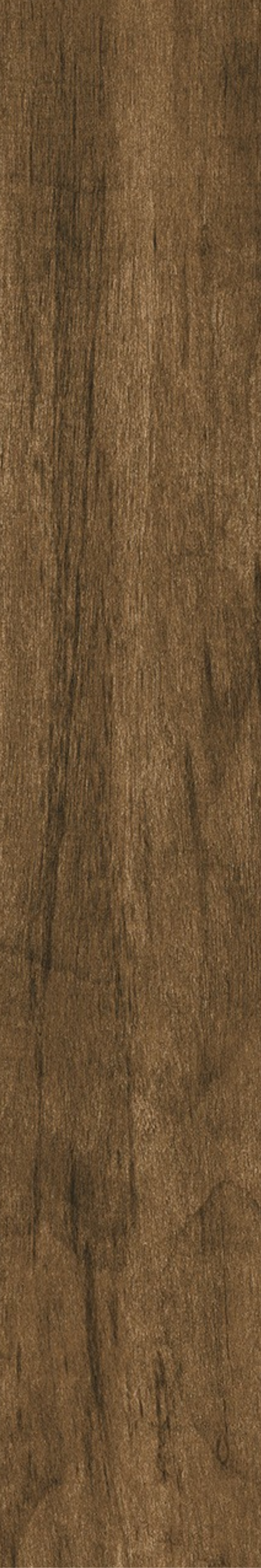 T21 Design Studio®️