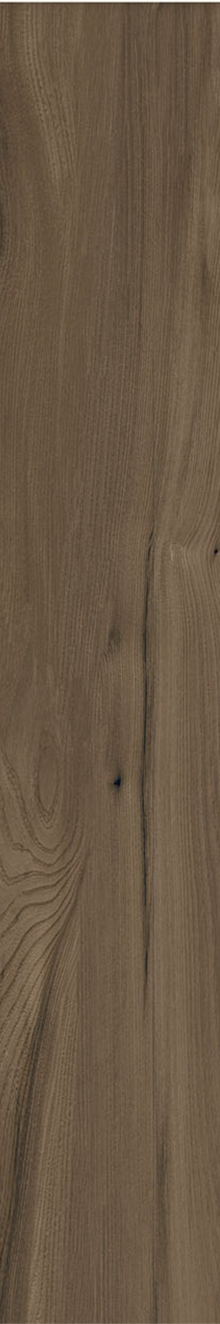 T21 Design Studio®️