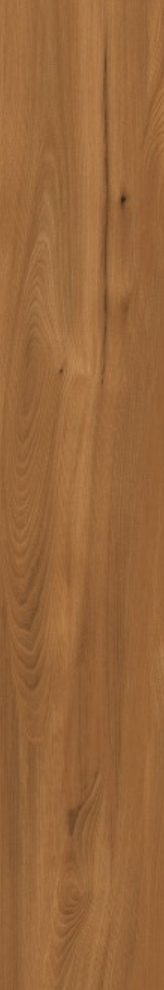 T21 Design Studio®️