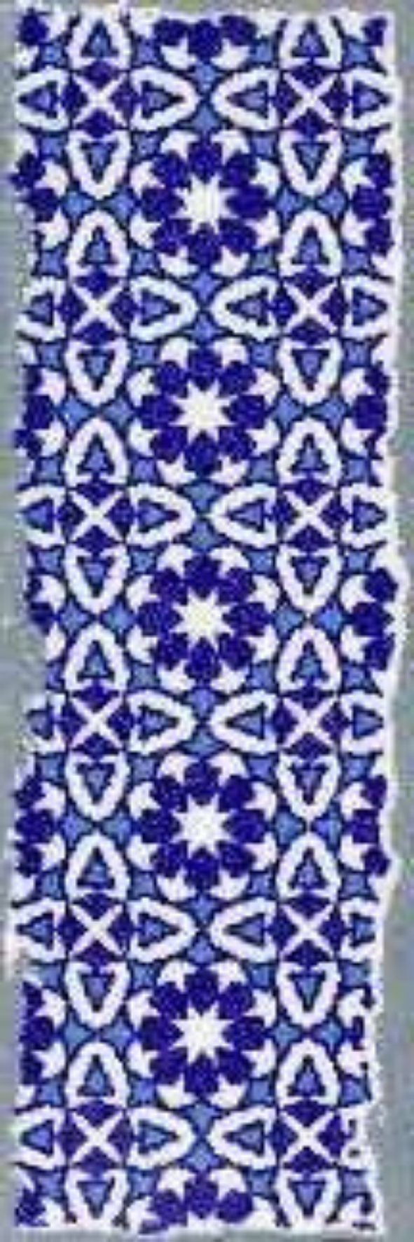 Image of Nila Fusion