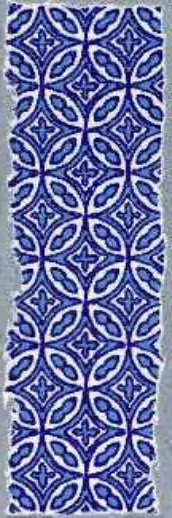 Image of Nila Fusion