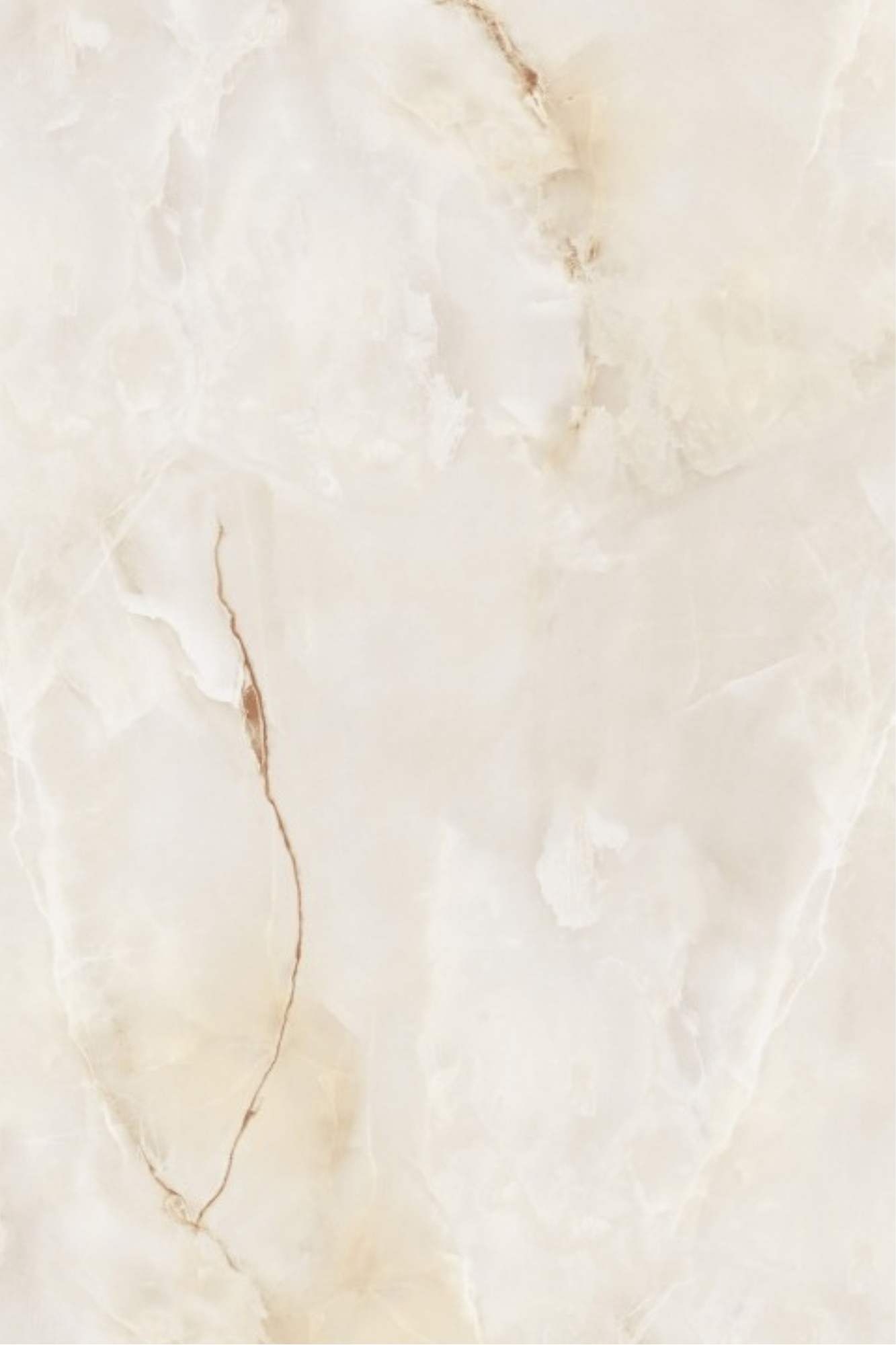 T21 Design Studio®️