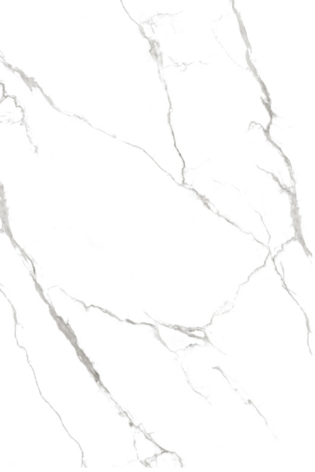 Image of Calcatta Frost
