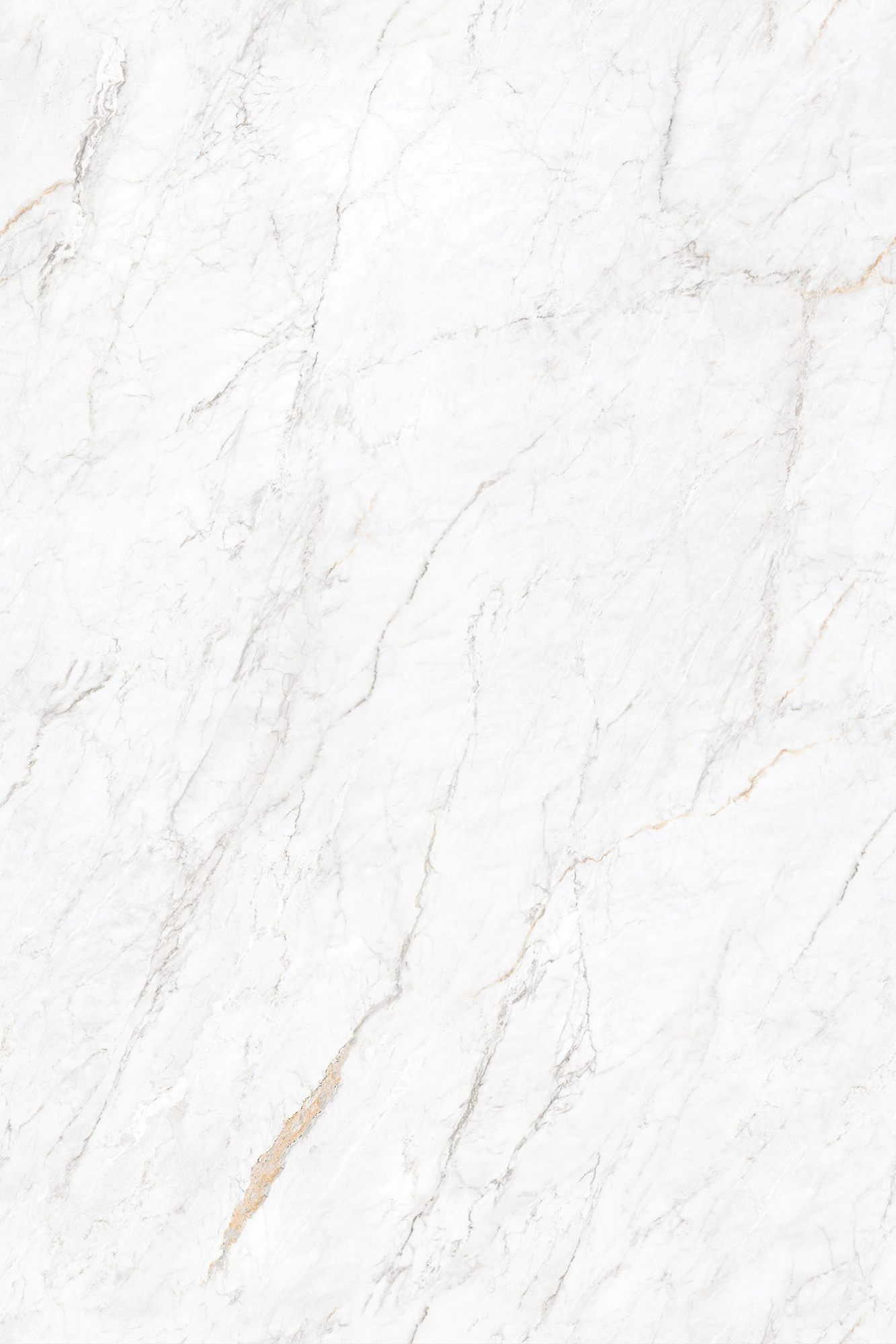 Image of Calcatta Gold