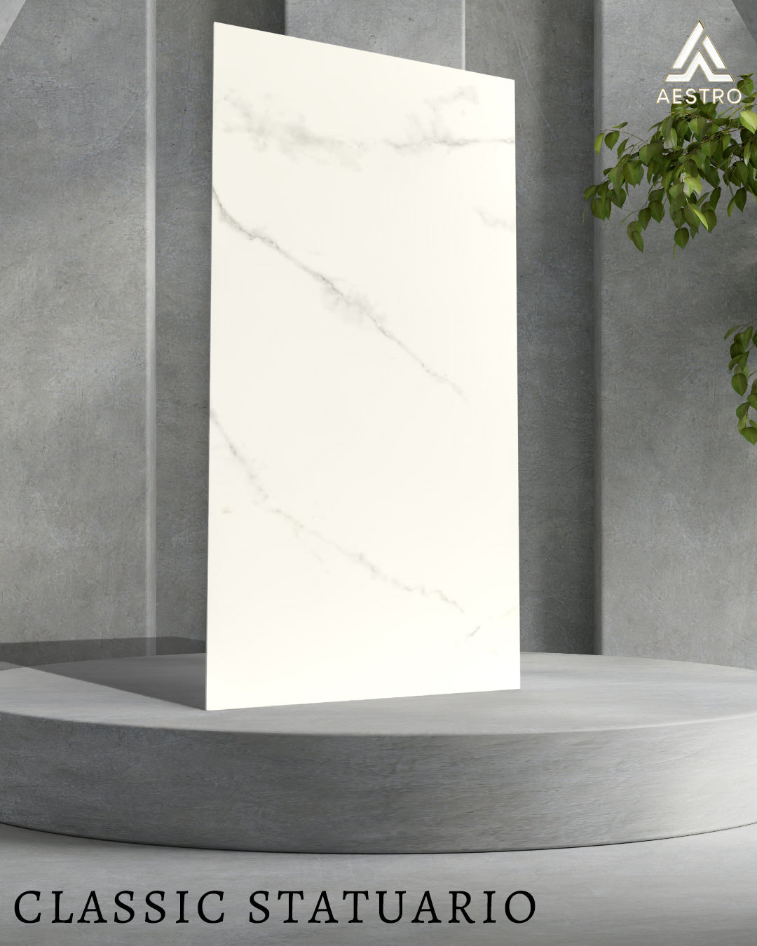 Image of Classic Statuario