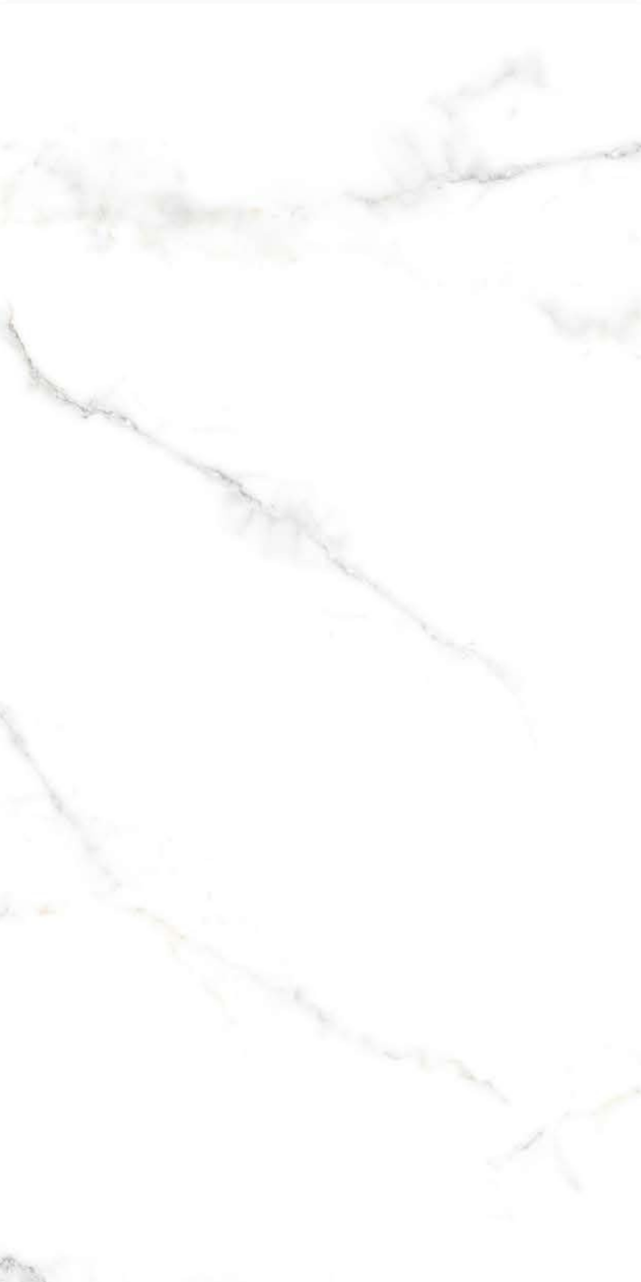Image of Classic Statuario