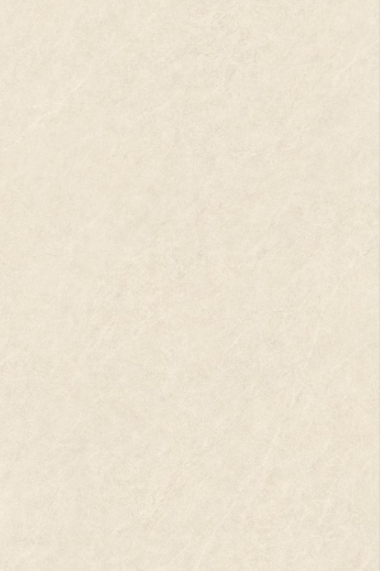 T21 Design Studio®️