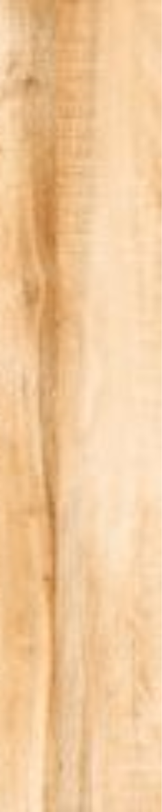 T21 Design Studio®️