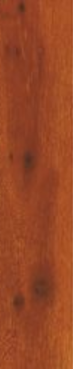 T21 Design Studio®️