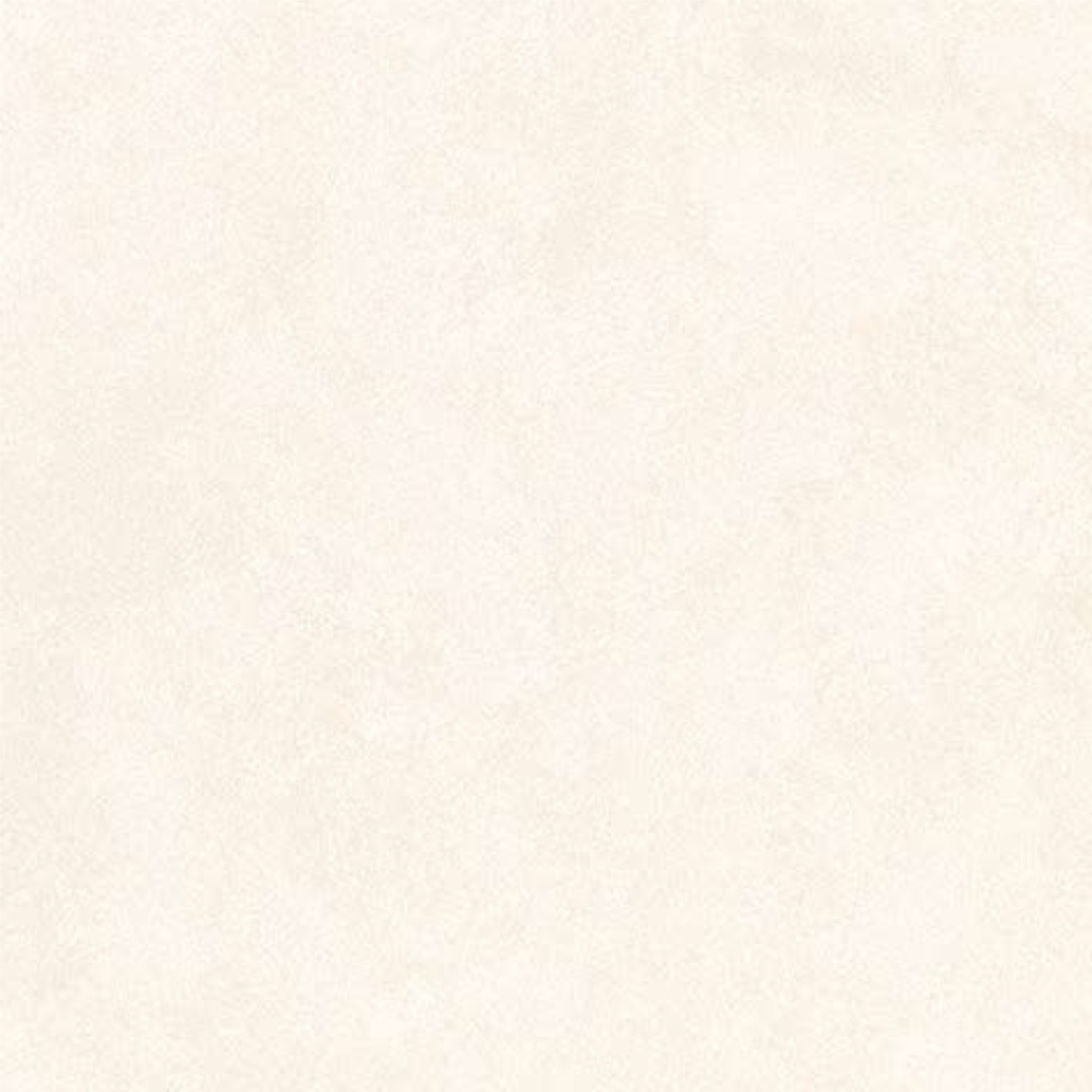 T21 Design Studio®️