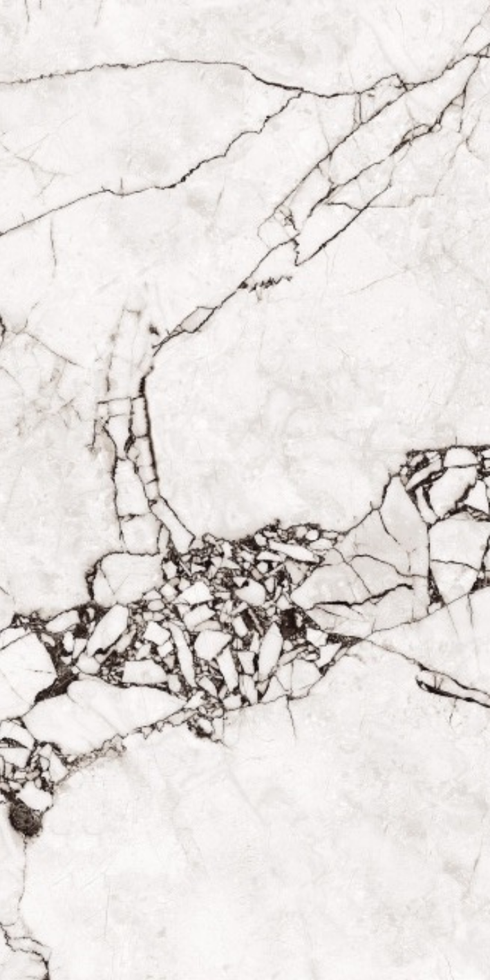 T21 Design Studio®️