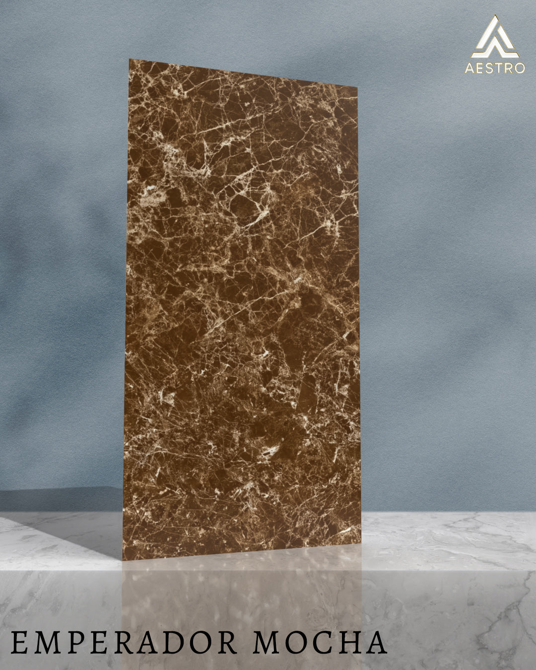 T21 Design Studio®️