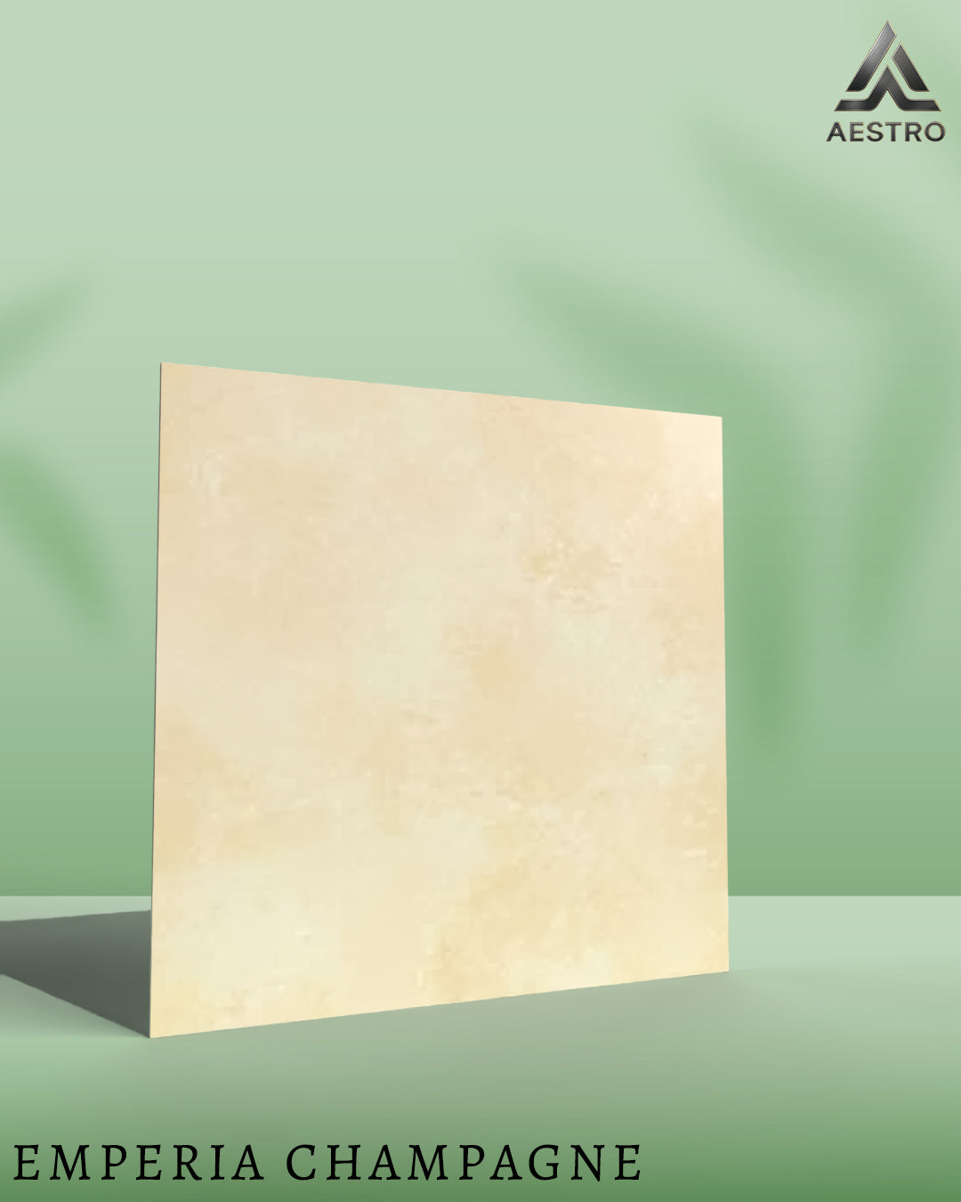 T21 Design Studio®️