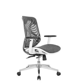 Image of Ergon Mesh Executive Office Chair