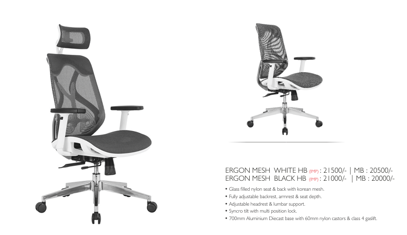 Image of Ergon Mesh Executive Office Chair