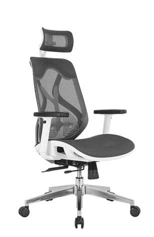Image of Ergon Mesh Executive Office Chair