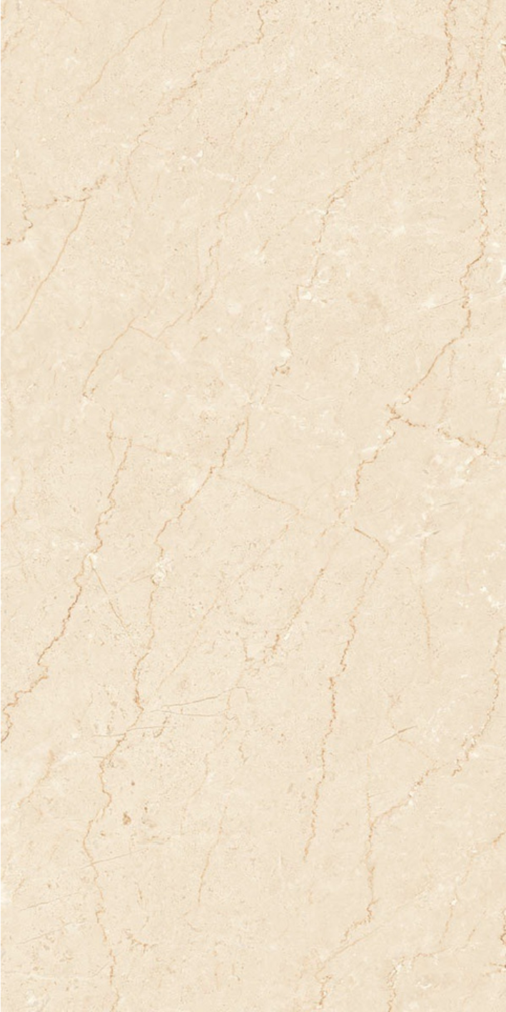 Image of Botto Bun