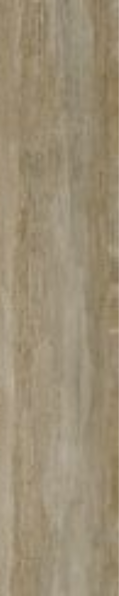 T21 Design Studio®️