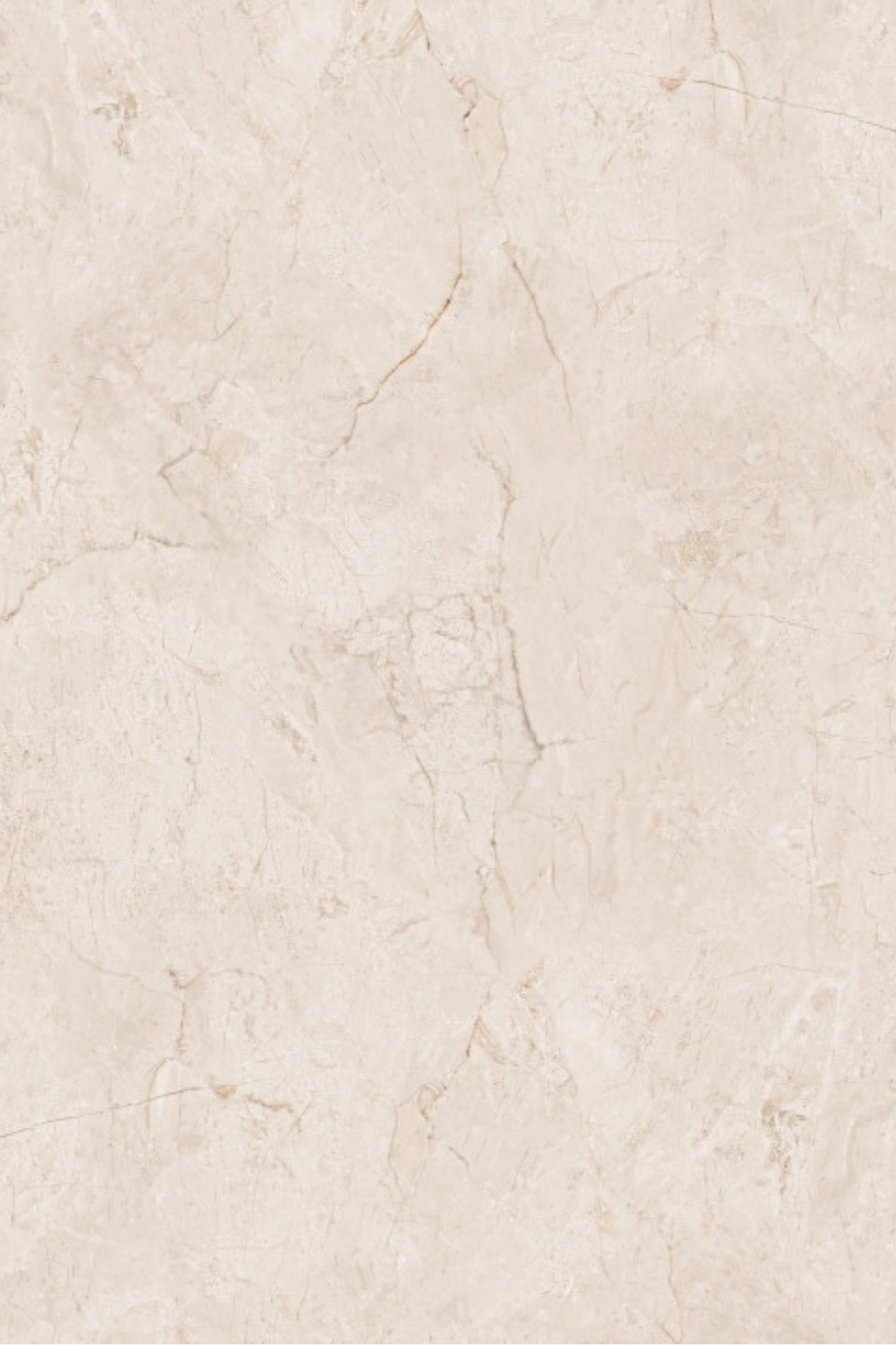 T21 Design Studio®️