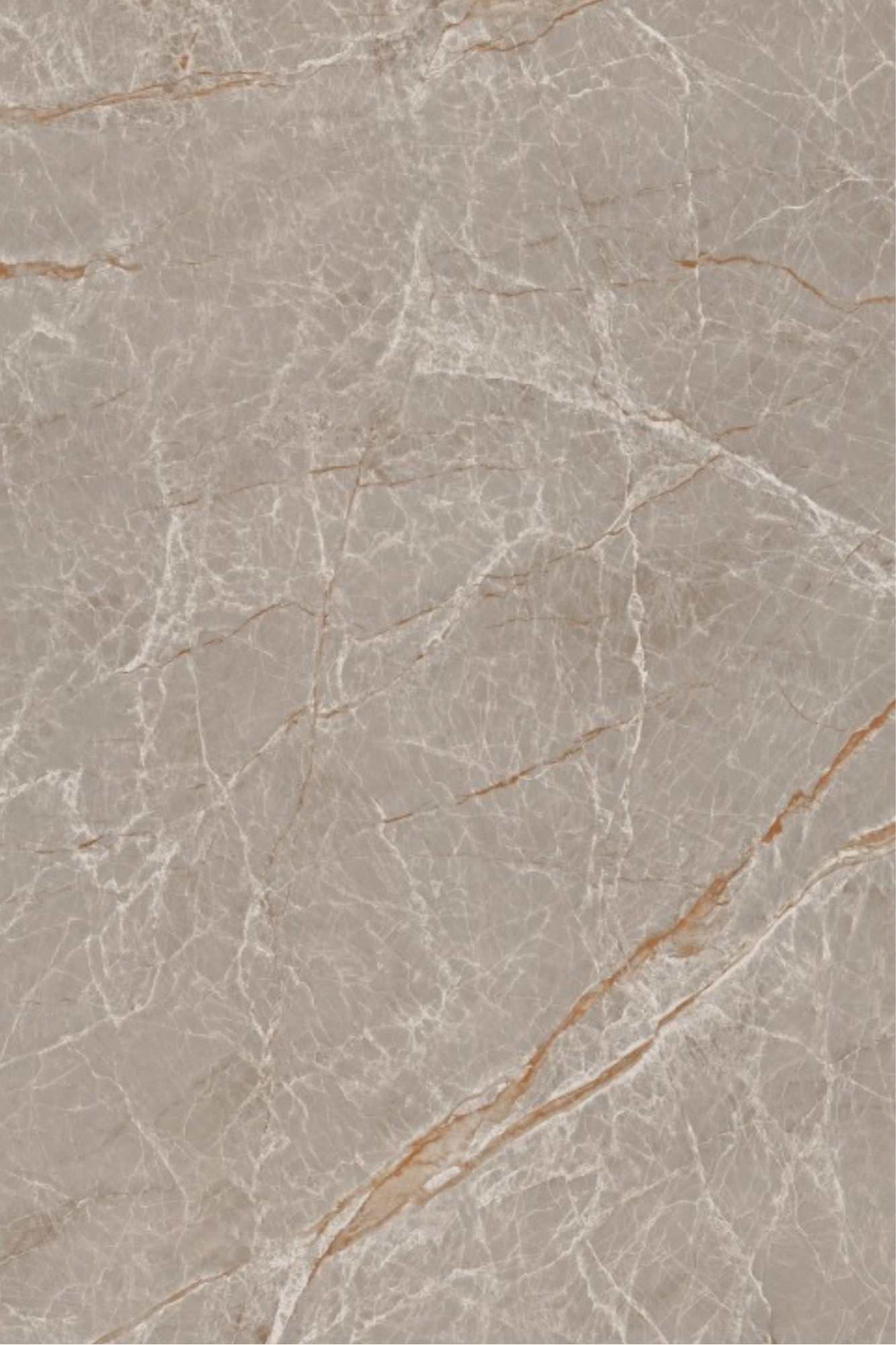 T21 Design Studio®️