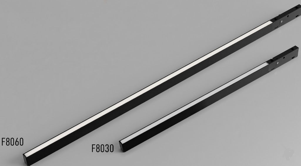 The 21st Century Lifestyle ®