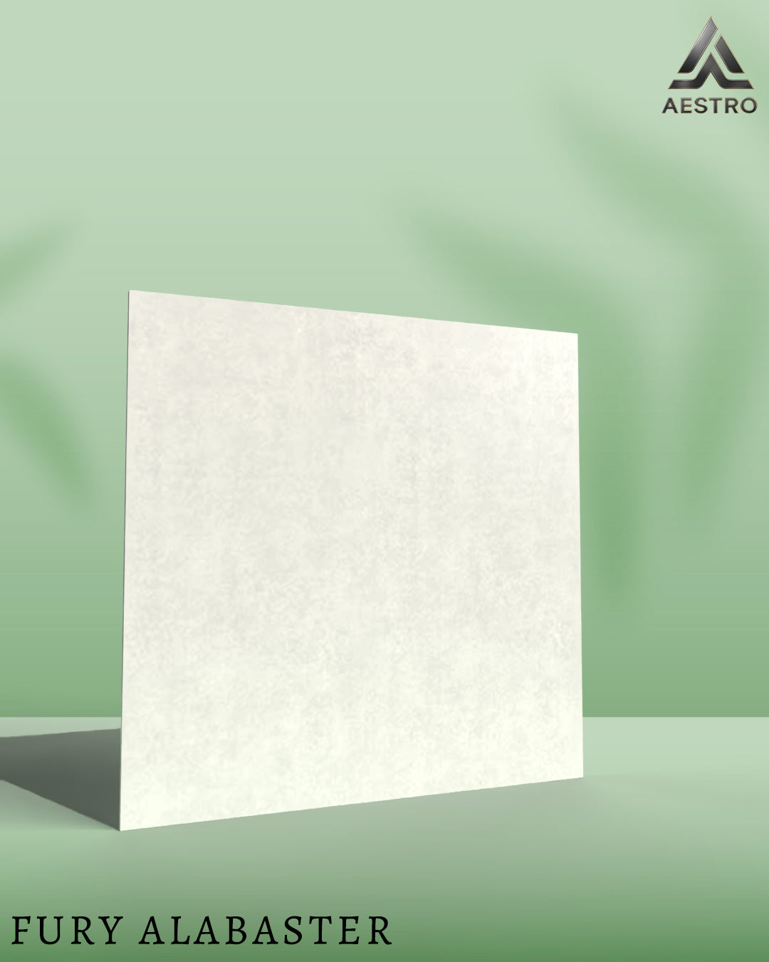 T21 Design Studio®️