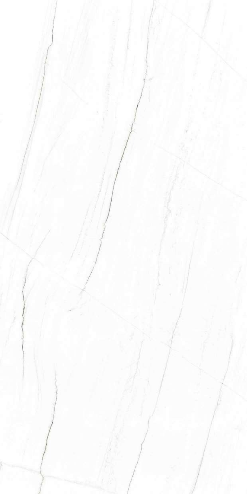 T21 Design Studio®️