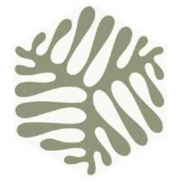 T21 Design Studio®️