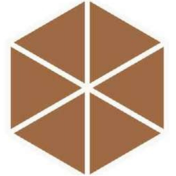 T21 Design Studio®️