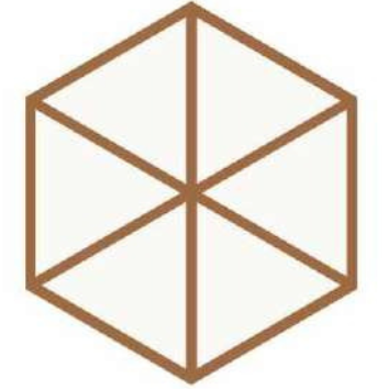 T21 Design Studio®️