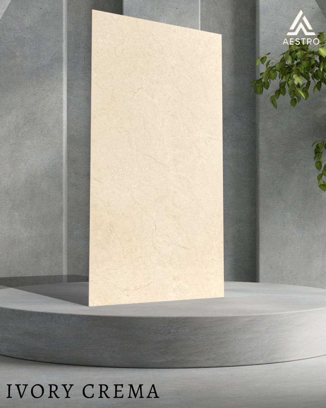 Image of Ivory Crema