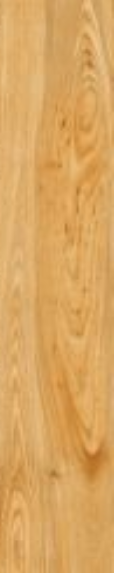 T21 Design Studio®️